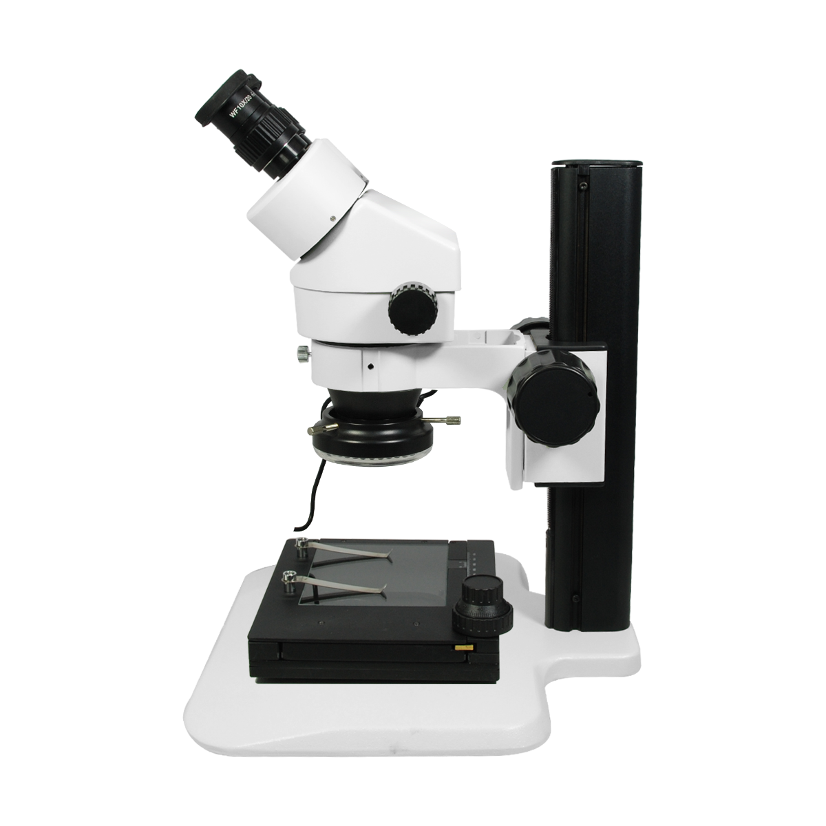 Stereo Microscope